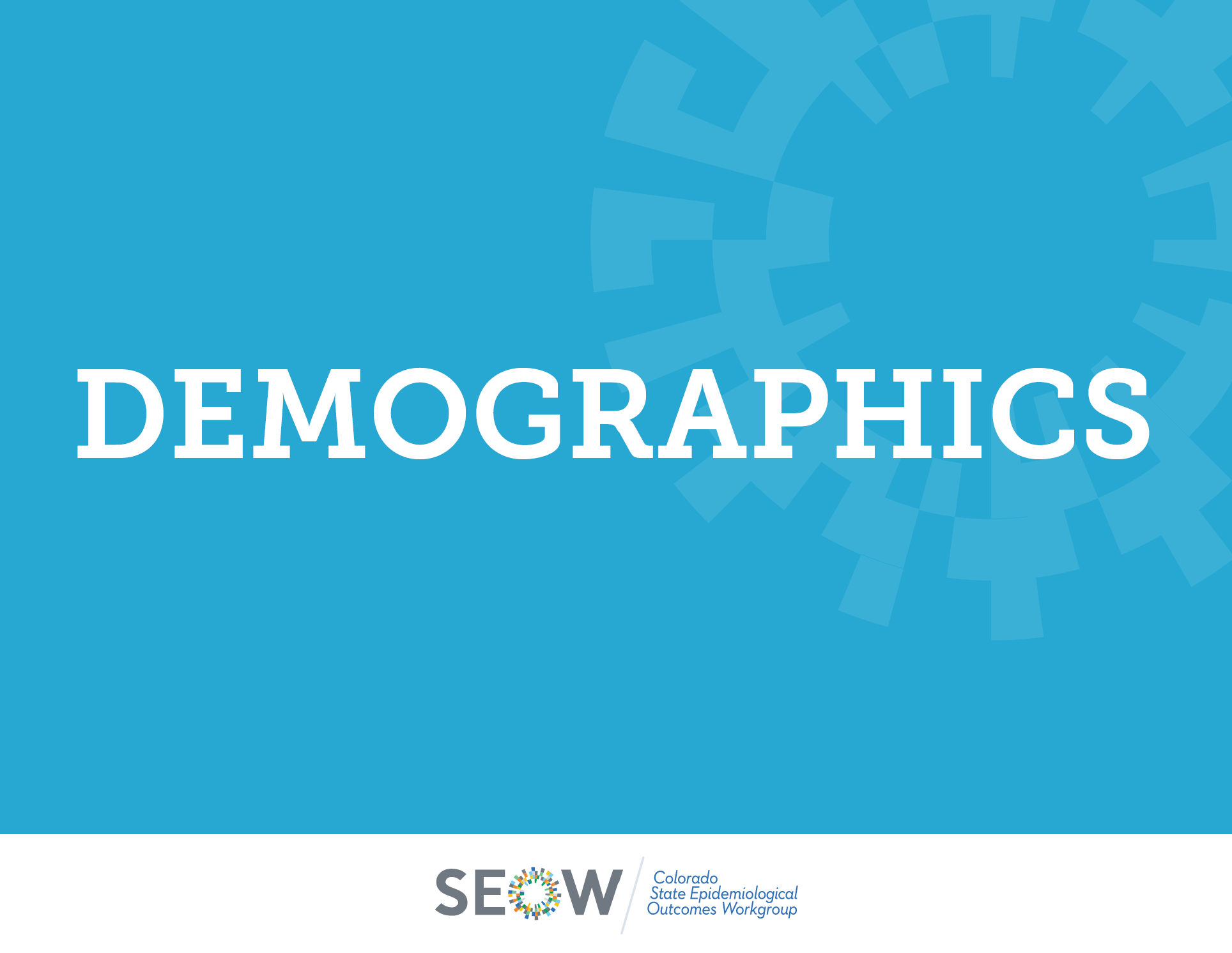 2021 Demographics Profile