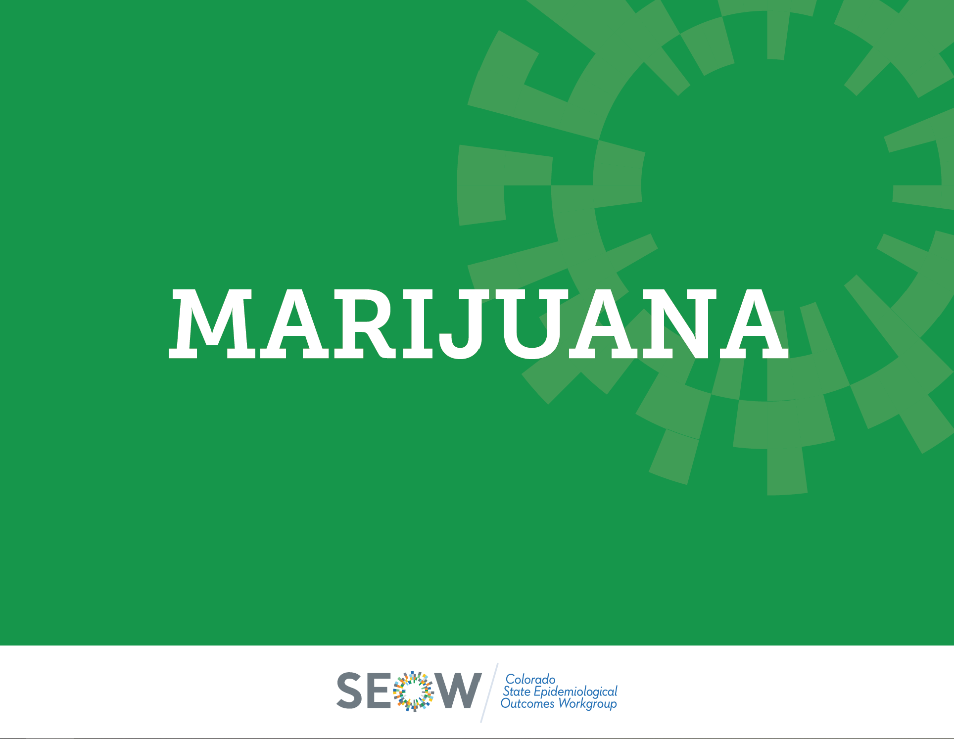 2021 Marijuana Profile