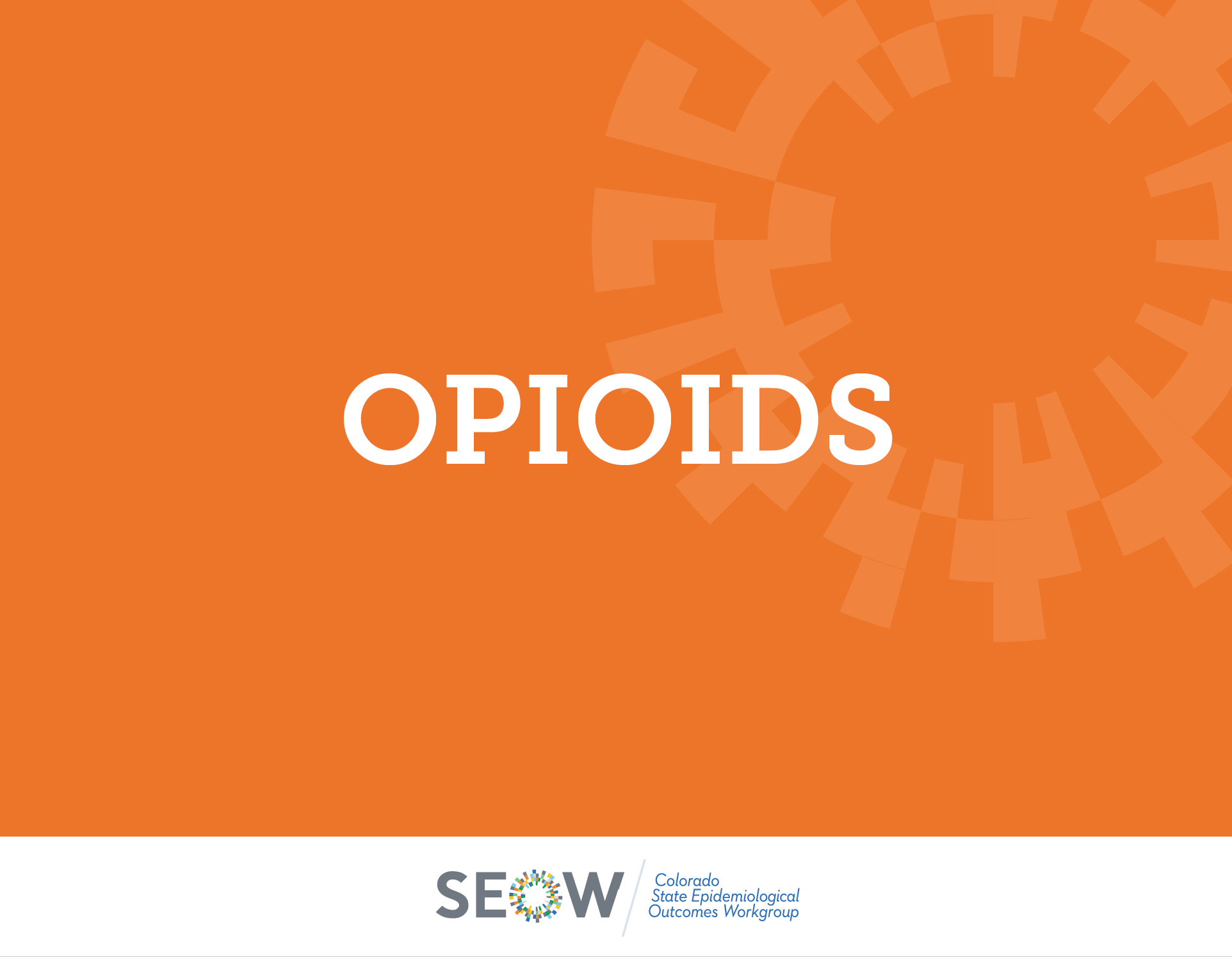 2021 Opioids Profile