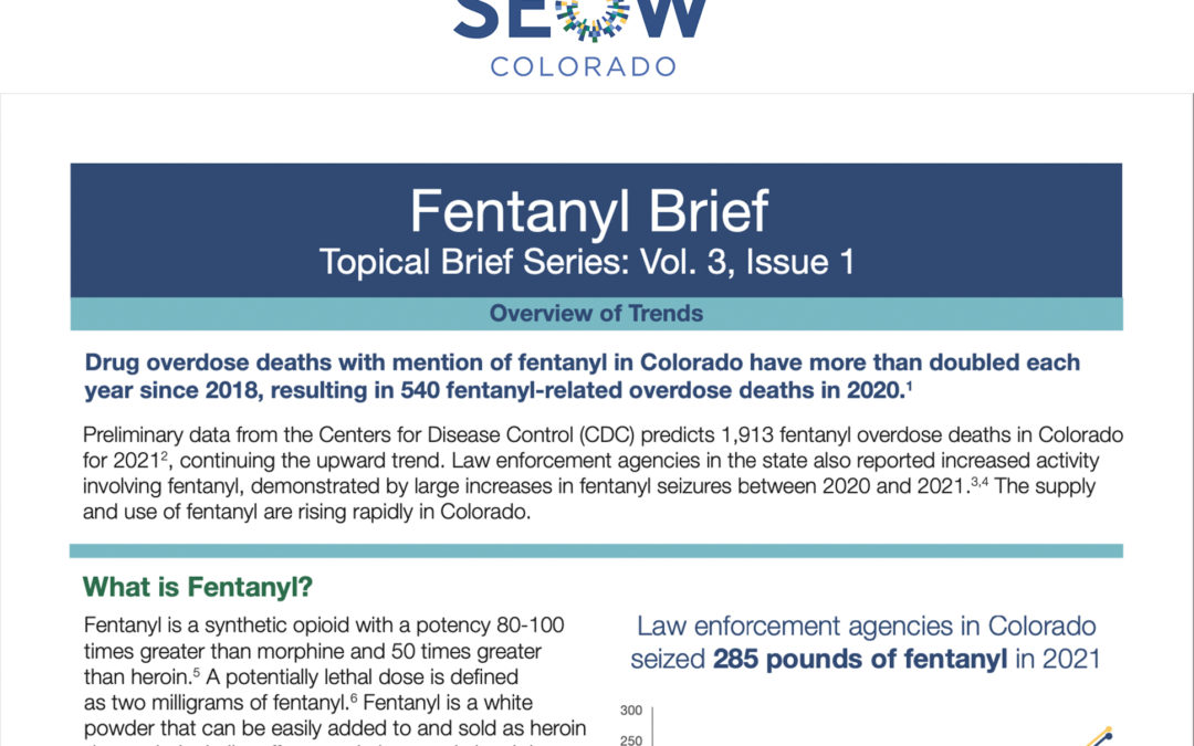 Fentanyl Brief