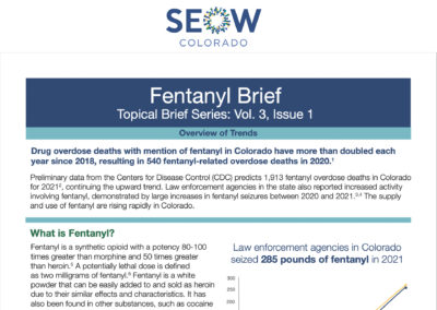 Fentanyl Brief