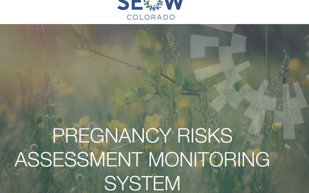 Pregnancy Risk Assessment Monitoring System (PRAMS)