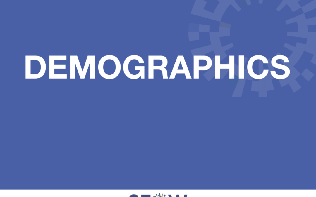 2023 Demographics Profile
