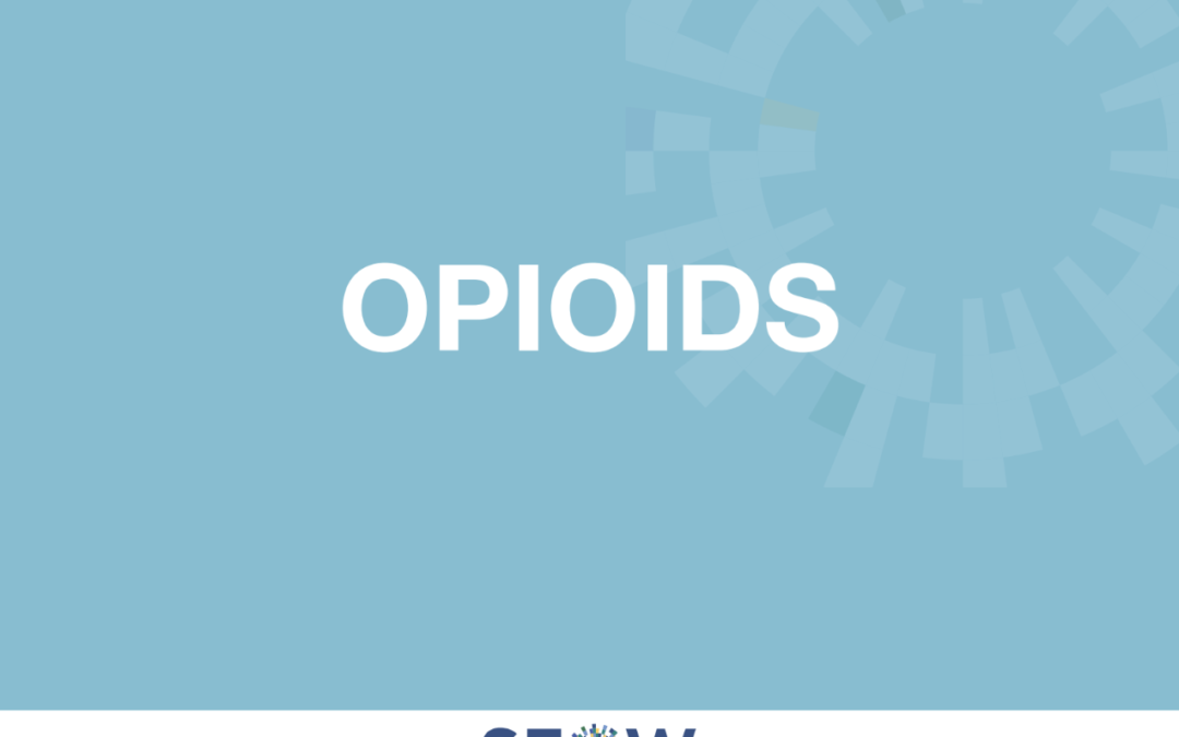 2023 Opioids Profile