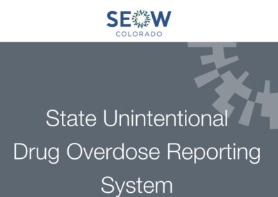 State Unintentional Drug Overdose Reporting System (SUDORS)